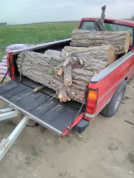 [Hearth.com] What’s Your Go-To Firewood and Why?