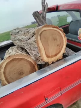 [Hearth.com] What’s Your Go-To Firewood and Why?