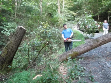[Hearth.com] Tree Problem