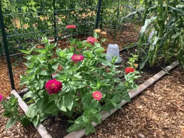 [Hearth.com] 2026 Garden Thread