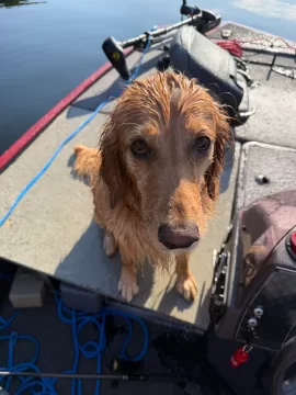 [Hearth.com] Fishing with the dog this morning…