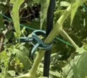 [Hearth.com] Update mod on tomato plant hold up clips. :-)