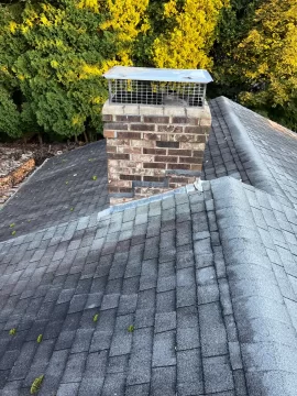 [Hearth.com] Repoint and need new chase cover
