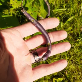 [Hearth.com] 2026 Garden Thread