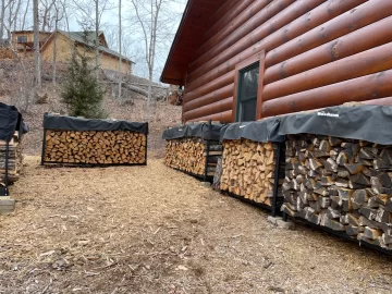 [Hearth.com] Wood or Gas insert