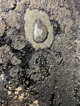 [Hearth.com] The Great Creosote Excavation: Am I Doing This Wrong?