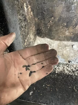 [Hearth.com] The Great Creosote Excavation: Am I Doing This Wrong?