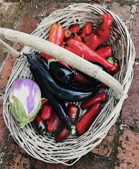 [Hearth.com] 2026 Garden Thread