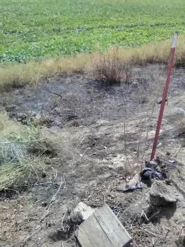 [Hearth.com] 2026 Garden Thread