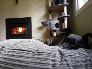[Hearth.com] New Jotul C 550 V2 impressions?