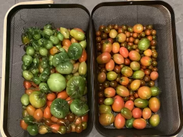 [Hearth.com] 2026 Garden Thread