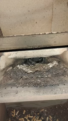 [Hearth.com] Starting a Harman p61 with ashes in the pot