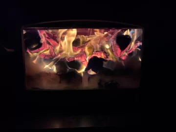 [Hearth.com] What Is In Your Stove Right Now?