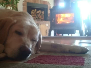 [Hearth.com] My Cody and his Equinox