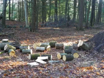 [Hearth.com] Last Year