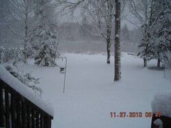 11-27-10 Snow.jpg