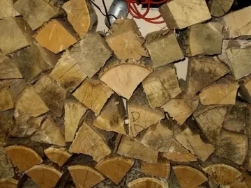 [Hearth.com] NEW ALDERLEA T5, LOW BURN, WATER IN IRON WALLS AND BRICKS?