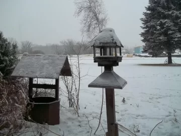 [Hearth.com] 1st Snow (video fixed)