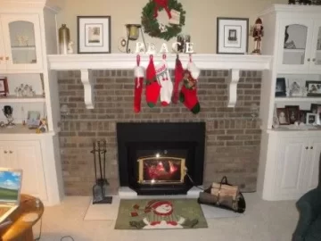[Hearth.com] Forgot the pic