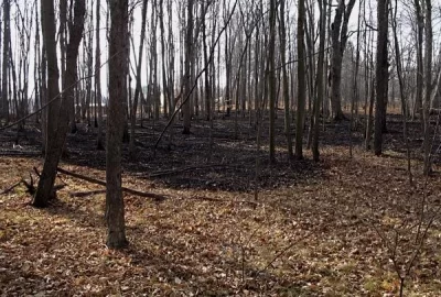 [Hearth.com] Hot ashes & coals after 24 hours?