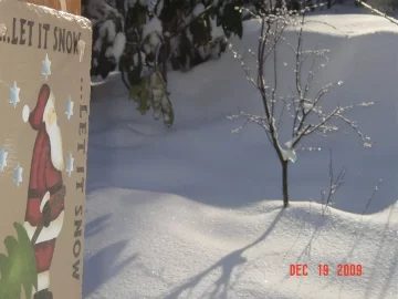 [Hearth.com] It’s beginning to look a lot like Christmas!  Snowing here in Western NC