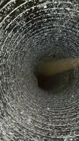 [Hearth.com] creosote this bad this soon?