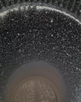 [Hearth.com] creosote this bad this soon?