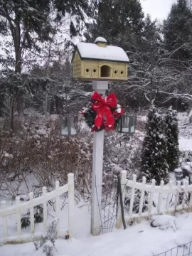 [Hearth.com] Is it really cold and snow covered where you are now?