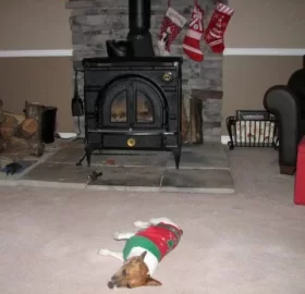 [Hearth.com] Staying Warm!!!