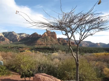 [Hearth.com] Arizona pics....