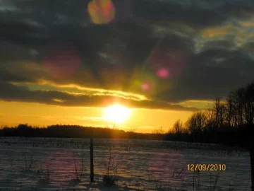 [Hearth.com] The Sunset Tonight