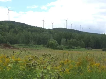 [Hearth.com] Wind Turbine