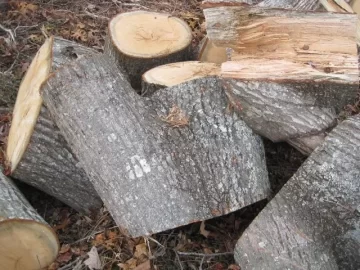 [Hearth.com] Please ID my wood score