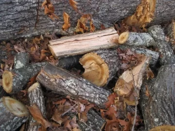 [Hearth.com] Please ID my wood score