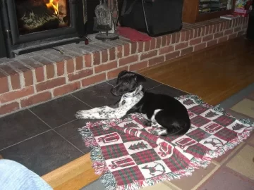 [Hearth.com] Furry Hearth Addition