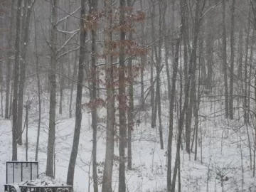 [Hearth.com] First big Snow