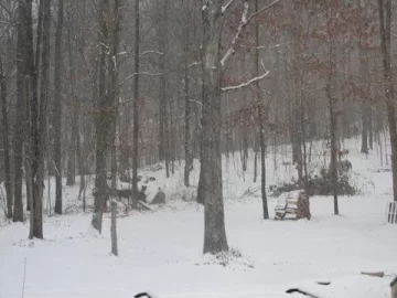 [Hearth.com] First big Snow