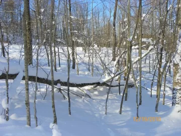 [Hearth.com] Up the Trail