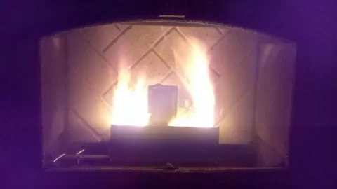 [Hearth.com] Flame Height?