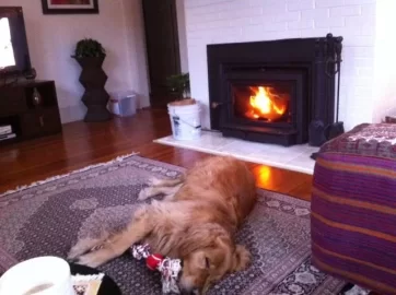[Hearth.com] first high temp burn in clydesdale