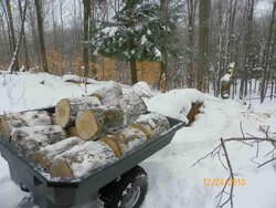 Hauling Wood Out with The Rhino