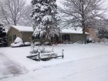 [Hearth.com] Tan Christmas