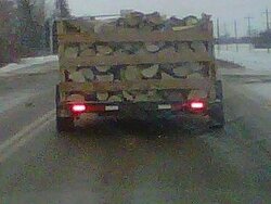 Someone's been cutting firewood