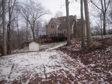 [Hearth.com] Debating what to do with some big trees