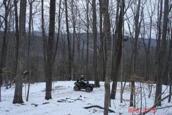 Would like to cut wood here! (pics of my ATV trip)