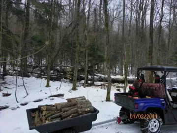 [Hearth.com] Sugar Maple and Ironwood