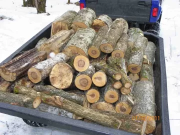 [Hearth.com] Sugar Maple and Ironwood