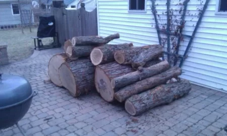 [Hearth.com] Today's load