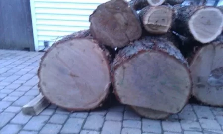 [Hearth.com] Today's load