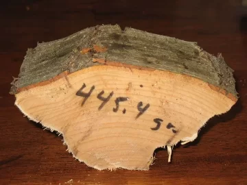 [Hearth.com] Nice video on visually showing how much water is in wet wood